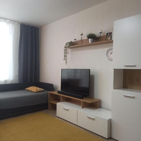 Lake Apartment Visaginas Bagian luar foto